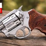 9 Revolvers That Are Quietly Dying in 2026 (Don’t Buy These)!