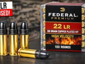 10 Shocking Truths About .22 Ammo Most Gun Owners Never know!
