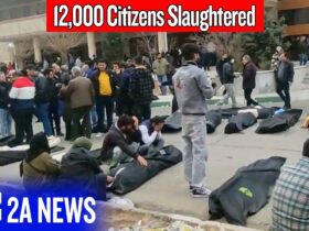 This Government Just Killed 12,000 People After Taking Their Guns