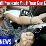 This Virginia Gun Law Turns Victims Into Criminals – VA SB496
