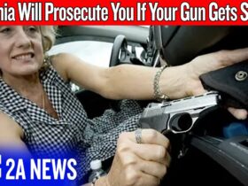 This Virginia Gun Law Turns Victims Into Criminals – VA SB496