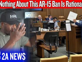 They’ve Completely Lost Their Minds With This New AR-15 Ban