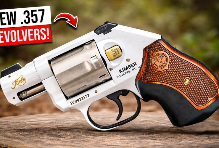 10 Legendary .357 Magnum Revolvers Ranked!