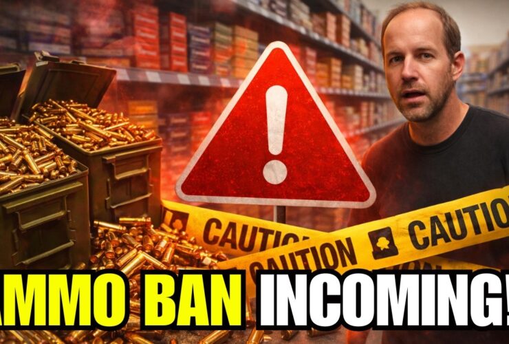 New Bill Will End Online Ammo Nationwide