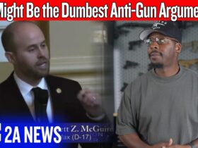 This Might Be the Dumbest Anti-Gun Argument Yet