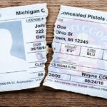 Michigan Could Become 30th Constitutional Carry State Under New House Bills