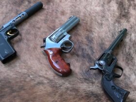 What is the Right .22  Handgun for You?