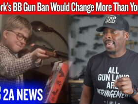 The Real Reason New York Is Going After BB Guns