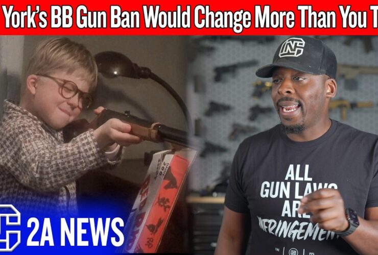 The Real Reason New York Is Going After BB Guns