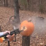 Are Slugs Underrated?