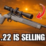 The 7 .22LR Rifles Every Prepper Is Rushing to Buy Before It’s Too Late!