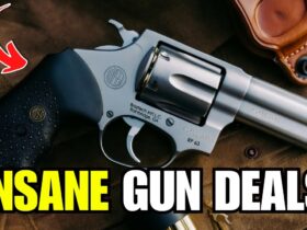 5 CHEAP GUNS EVERYONE IGNORES (But These 3 Guns Are Absolute Goldmines)