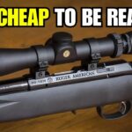 Top 5 Rifles For The $$$ (2026) || Best Budget Rifles on the Market?!