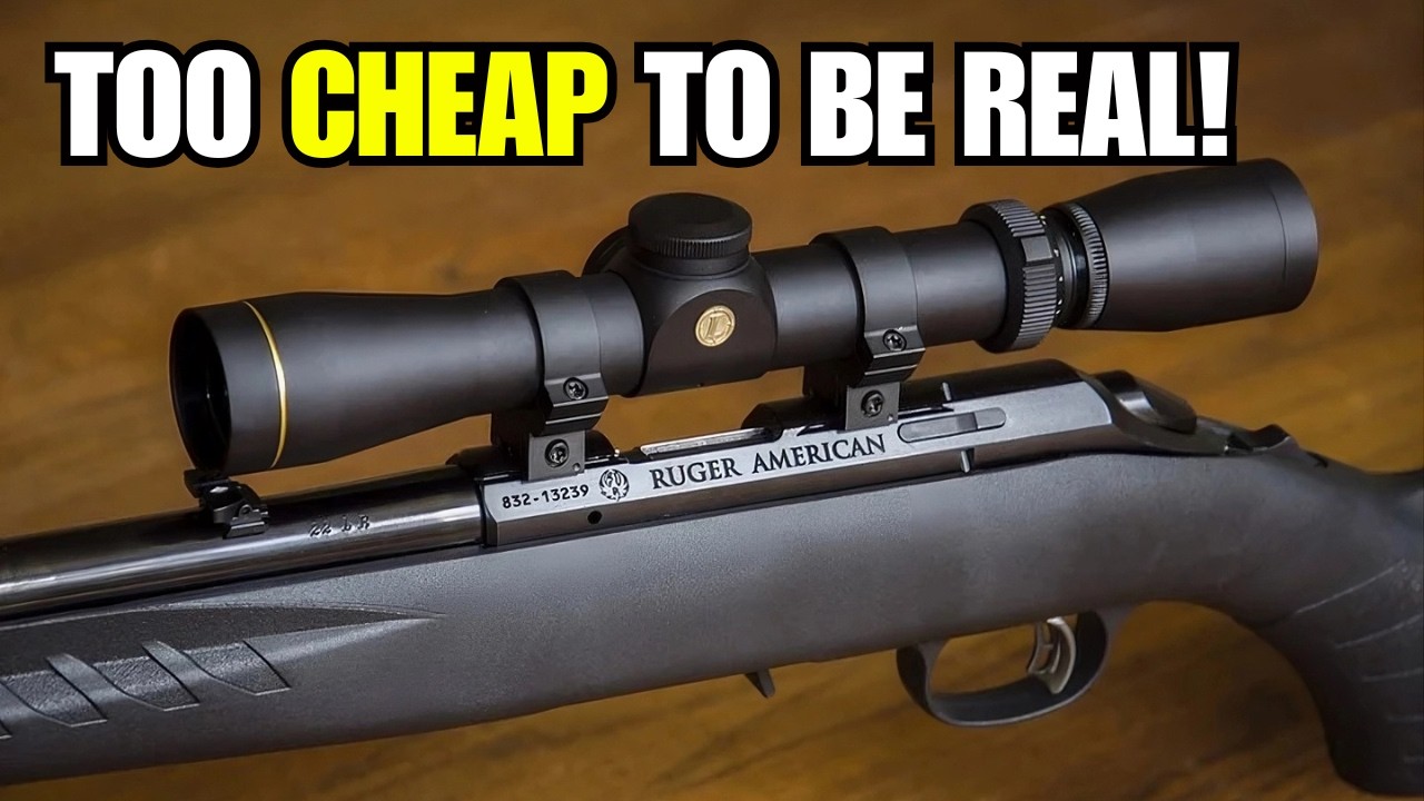 Top 5 Rifles For The $$$ (2026) || Best Budget Rifles on the Market?!