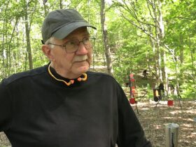 Do We Get Anything For Free?