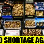 8 Rounds Every American Should Stockpile Before The 2026 Ammo Crunch!