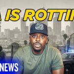 LA Burglars Aren’t Afraid Anymore… And This Video Proves It