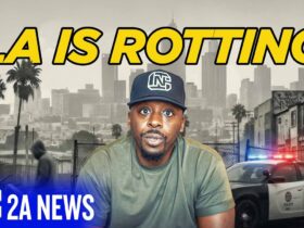 LA Burglars Aren’t Afraid Anymore… And This Video Proves It