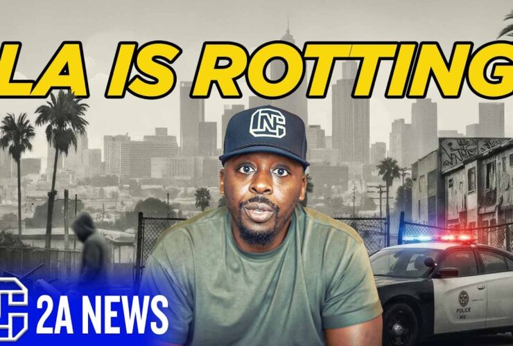 LA Burglars Aren’t Afraid Anymore… And This Video Proves It