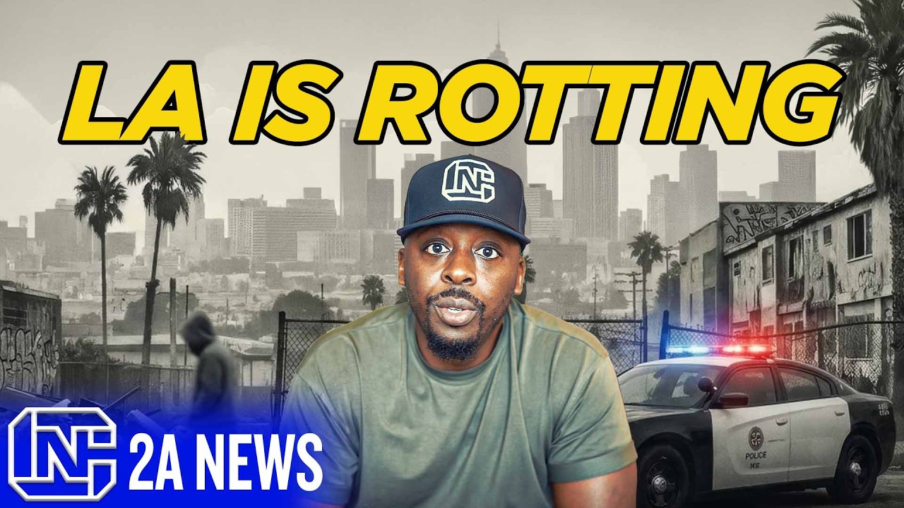 LA Burglars Aren’t Afraid Anymore… And This Video Proves It