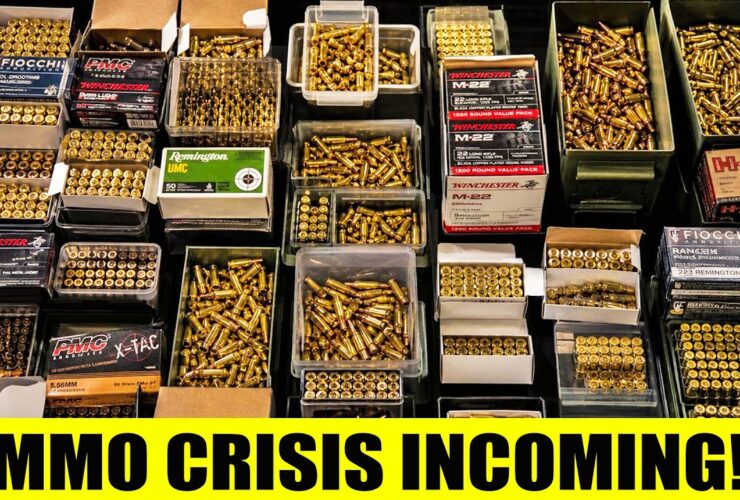 2026 Ammo Crisis EXPOSED — What They’re Hiding From Gun Owners!