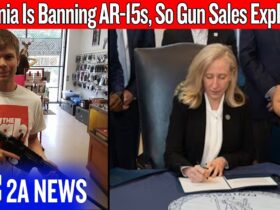 Virginia Is Banning The AR-15, & It Backfired Immediately