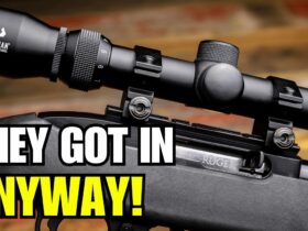 Beretta Lost the Fight, But Got Inside Ruger Anyway