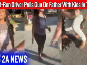 Hit-And-Run Driver Pulls Gun On Father With Kids In The Car