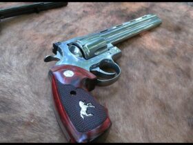What is the Best BBQ Gun?