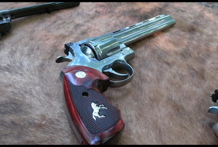 What is the Best BBQ Gun?