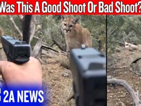 A Mountain Lion Stalked Him… And People Blamed The Man