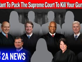 Anti-gun Democrats Can Undue Every Recent 2A Win With This One Move