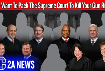 Anti-gun Democrats Can Undue Every Recent 2A Win With This One Move