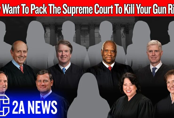 Anti-gun Democrats Can Undue Every Recent 2A Win With This One Move