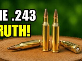 10 Shocking Facts About the .243 Winchester – They Don’t Want You to Know!
