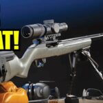 6 Reasons The Ruger 10/22 Became America’s Favorite .22 Rifle