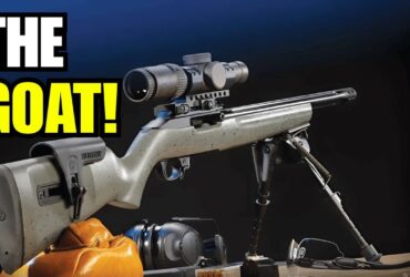 6 Reasons The Ruger 10/22 Became America’s Favorite .22 Rifle