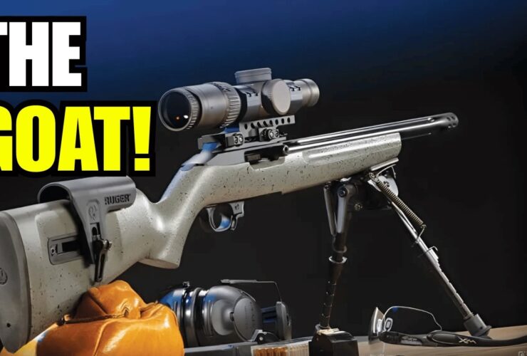 6 Reasons The Ruger 10/22 Became America’s Favorite .22 Rifle