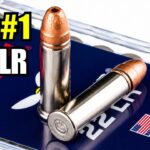 9 Best .22 LR Ammo for Defense, Hunting, and Reliability In 2026
