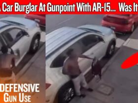 Armed Homeowner Stops Car Burglar With An AR-15