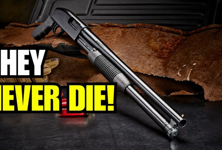 6 Guns That They Never Die
