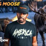 This Moose Didn’t Care About Warning Shots. That’s Why FRTs Matter