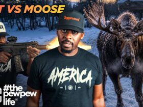 This Moose Didn’t Care About Warning Shots. That’s Why FRTs Matter