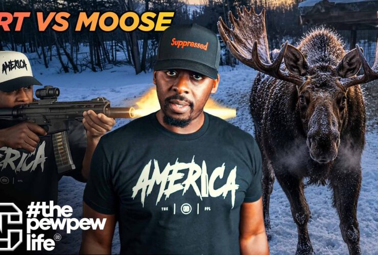 This Moose Didn’t Care About Warning Shots. That’s Why FRTs Matter