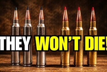 7 Forgotten Hunting Calibers That Refuse to Die