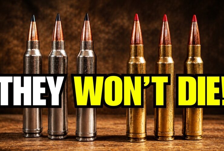 7 Forgotten Hunting Calibers That Refuse to Die