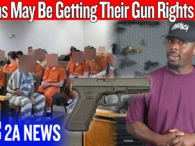 Felons May Be Getting Their Gun Rights Back