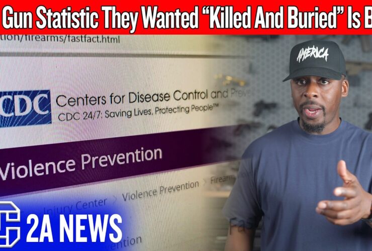 The Gun Statistic The CDC Tried To Bury Is Back The Gun Statistic The CDC Tried To Bury Is Back