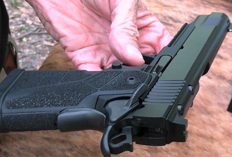 Kimber Warrior OR