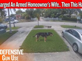 His Wife Was Trapped In The Driveway… Then He Came Back Armed